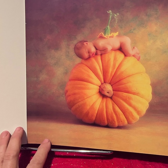 Vintage 1997 Anne Geddes baby photo album- beautiful memory maker-like new - Picture 4 of 8